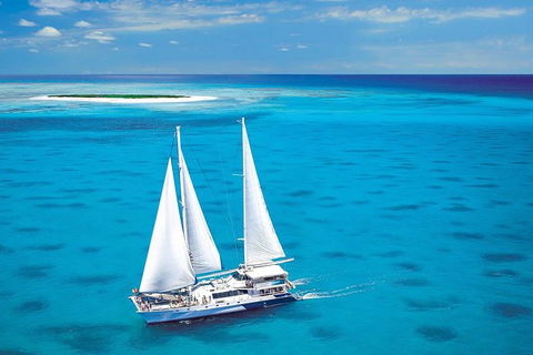 Ocean Spirit Michaelmas Cay Dive And Snorkel Cruise From Cairns - Accommodation Port Hedland 0