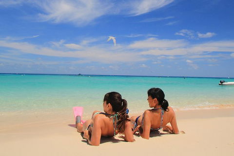 Ocean Spirit Michaelmas Cay Dive And Snorkel Cruise From Cairns - Accommodation Port Hedland 3