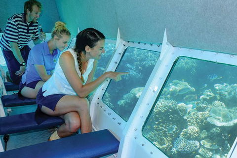 Ocean Spirit Michaelmas Cay Dive And Snorkel Cruise From Cairns - Accommodation Port Hedland 5