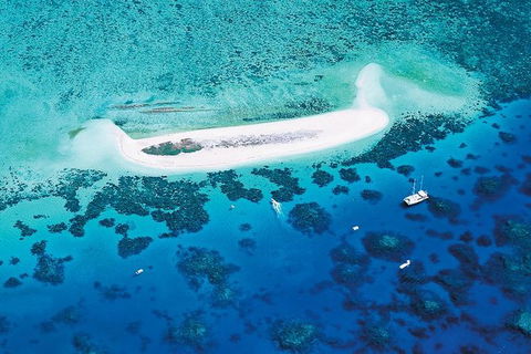 Ocean Spirit Michaelmas Cay Dive And Snorkel Cruise From Cairns - Accommodation Port Hedland 4