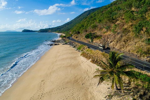 Daintree Rainforest, Cape Tribulation And Bloomfield Track Small Group Tour - Accommodation Port Hedland 4