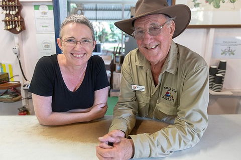 Daintree Rainforest, Cape Tribulation And Bloomfield Track Small Group Tour - Accommodation Port Hedland 6
