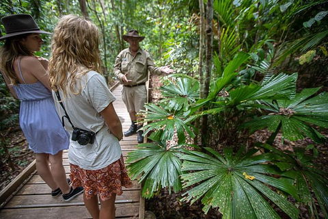 Daintree Rainforest, Cape Tribulation And Bloomfield Track Small Group Tour - Accommodation Port Hedland 12
