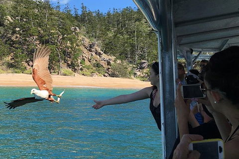 Aquascene Magnetic Island Discovery Tour - Accommodation Port Hedland 2