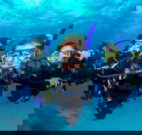 Great Barrier Reef Diving and Snorkeling Cruise from Cairns - Accommodation Port Hedland