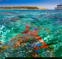 2-Day Green Island Cruise and Kuranda Day Trip - Accommodation Port Hedland