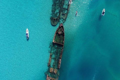 Cruise In Moreton Bay Marine Park And Moreton Island - Accommodation Port Hedland 5