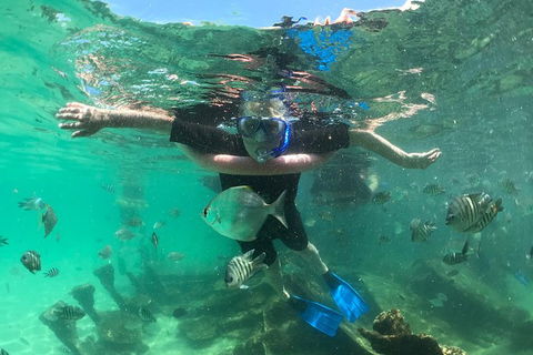 Cruise In Moreton Bay Marine Park And Moreton Island - Accommodation Port Hedland 10