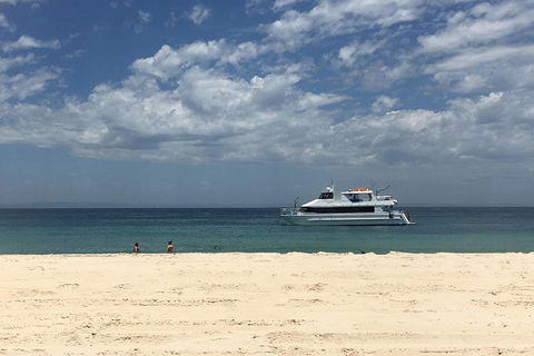 Cruise In Moreton Bay Marine Park And Moreton Island - Accommodation Port Hedland 6
