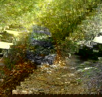 Barron Gorge and Kuranda National Park Half Day Rainforest and Waterfall 4WD Tour from Cairns - Accommodation Port Hedland
