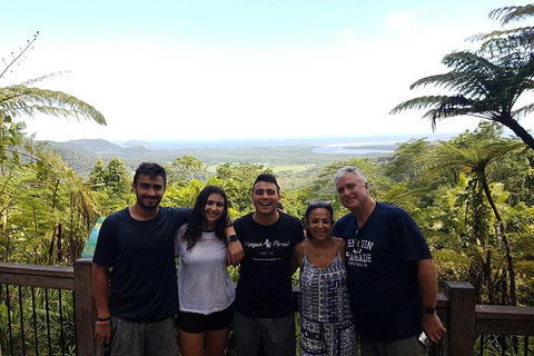 Small Group Daintree Rainforest Tour - Accommodation Port Hedland 5
