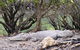 Small Group Daintree Rainforest Tour - thumb 3