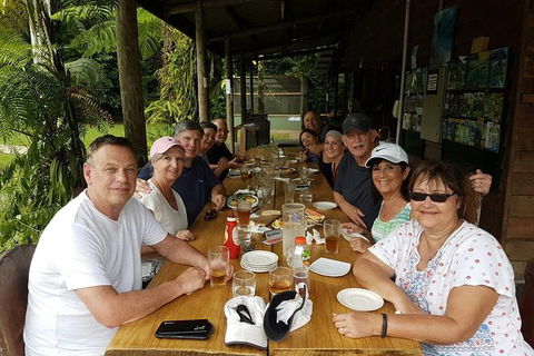 Small Group Daintree Rainforest Tour - Accommodation Port Hedland 1