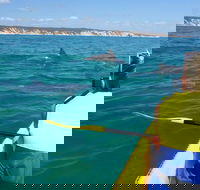 Kayak with Dolphins and 4WD Great Beach Drive Day Trip from Noosa - Accommodation Port Hedland