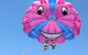 Gold Coast Parasailing - Solo, Tandem, Triple - thumb 4