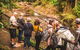 Full-day Springbrook National Park Tour From The Gold Coast - thumb 5