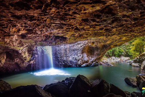 Full-day Springbrook National Park Tour From The Gold Coast - Accommodation Port Hedland 6