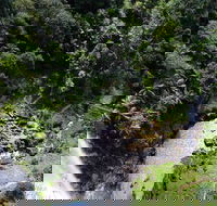 Full-day Springbrook National Park Tour from the Gold Coast - Accommodation Port Hedland