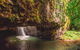 Full-day Springbrook National Park Tour From The Gold Coast - thumb 8