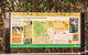 Full-day Springbrook National Park Tour From The Gold Coast - thumb 4