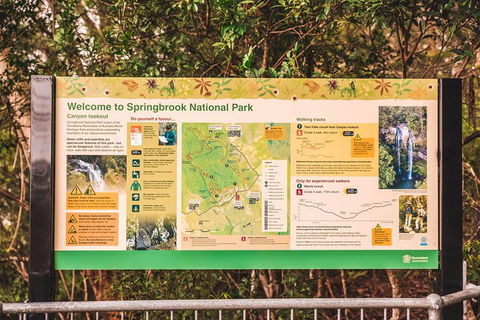 Full-day Springbrook National Park Tour From The Gold Coast - Accommodation Port Hedland 4