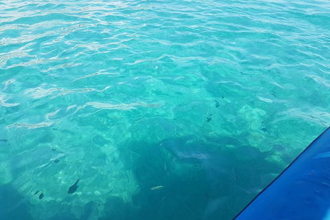Gold Coast Try-Scuba Experience At Wave Break Island - Accommodation Port Hedland 12