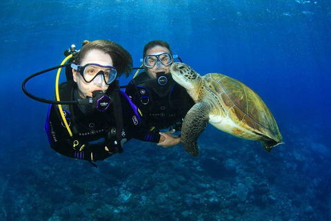 Gold Coast Try-Scuba Experience At Wave Break Island - Accommodation Port Hedland 0