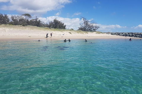 Gold Coast Try-Scuba Experience At Wave Break Island - Accommodation Port Hedland 14