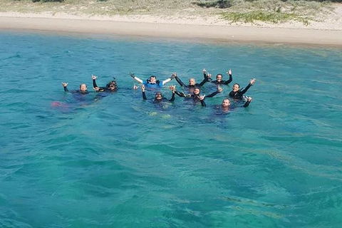 Gold Coast Try-Scuba Experience At Wave Break Island - Accommodation Port Hedland 7