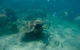 Gold Coast Try-Scuba Experience At Wave Break Island - thumb 5
