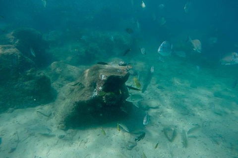 Gold Coast Try-Scuba Experience At Wave Break Island - Accommodation Port Hedland 5