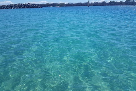 Gold Coast Try-Scuba Experience At Wave Break Island - Accommodation Port Hedland 9