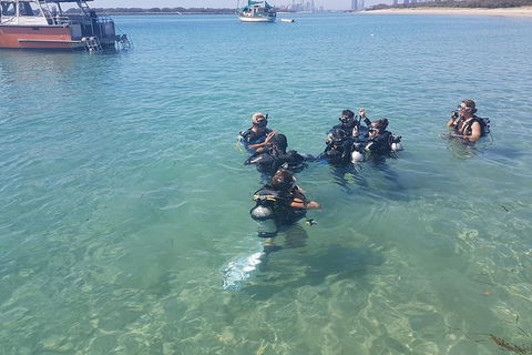 Gold Coast Try-Scuba Experience At Wave Break Island - Accommodation Port Hedland 11