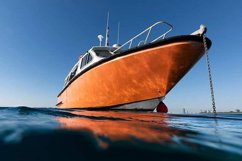 Gold Coast Try-Scuba Experience At Wave Break Island - Accommodation Port Hedland 2