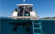 Gold Coast Try-Scuba Experience At Wave Break Island - thumb 3