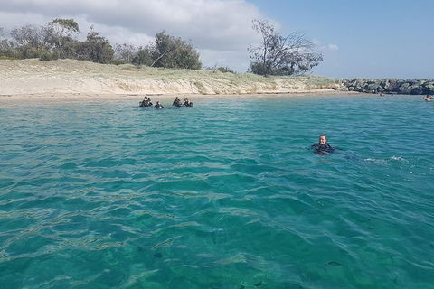 Gold Coast Try-Scuba Experience At Wave Break Island - Accommodation Port Hedland 16
