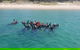 Gold Coast Try-Scuba Experience At Wave Break Island - thumb 8