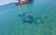 Gold Coast Try-Scuba Experience At Wave Break Island - thumb 15