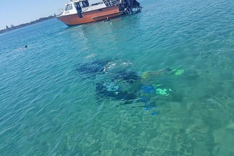 Gold Coast Try-Scuba Experience At Wave Break Island - Accommodation Port Hedland 15