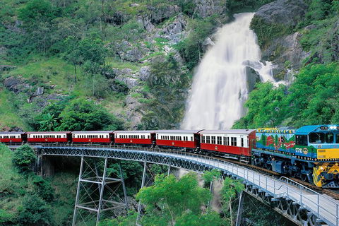 Kuranda Day Trip From Cairns By Scenic Railway And Skyrail Including Army Duck Rainforest Tour - Accommodation Port Hedland 5