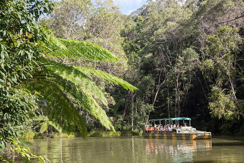 Kuranda Day Trip From Cairns By Scenic Railway And Skyrail Including Army Duck Rainforest Tour - Accommodation Port Hedland 0