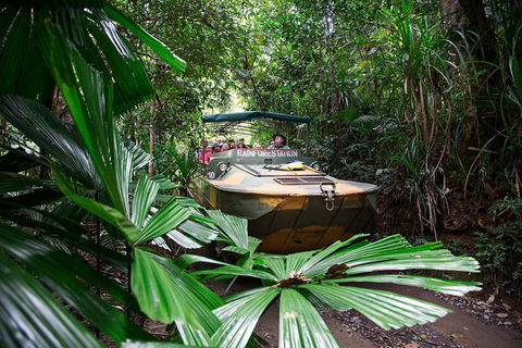 Kuranda Day Trip From Cairns By Scenic Railway And Skyrail Including Army Duck Rainforest Tour - Accommodation Port Hedland 1