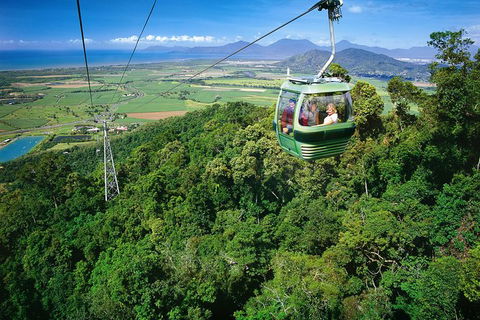 Kuranda Day Trip From Cairns By Scenic Railway And Skyrail Including Army Duck Rainforest Tour - Accommodation Port Hedland 3