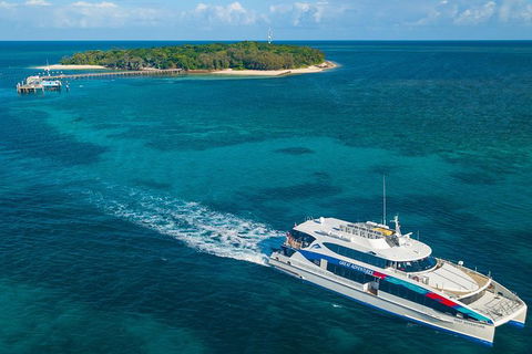 Ultimate 3-Day Great Barrier Reef Cruise Pass - Accommodation Port Hedland 5