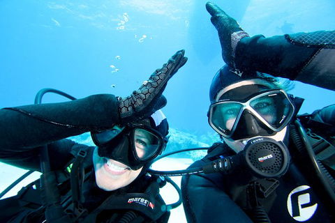 Coral Sea Dreaming: Overnight Dive, Snorkel And Sail Experience From Cairns - Accommodation Port Hedland 3