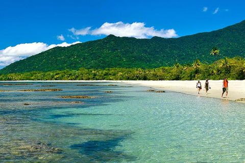 6-Day Best Of Cairns Including The Great Barrier Reef, Kuranda And The Daintree Rainforest - Accommodation Port Hedland 4