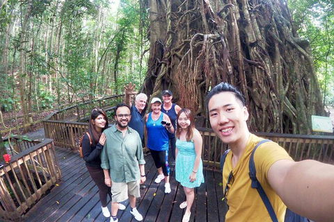 6-Day Best Of Cairns Including The Great Barrier Reef, Kuranda And The Daintree Rainforest - Accommodation Port Hedland 5