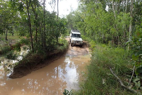 6-Day Best Of Cairns Including The Great Barrier Reef, Kuranda And The Daintree Rainforest - Accommodation Port Hedland 7