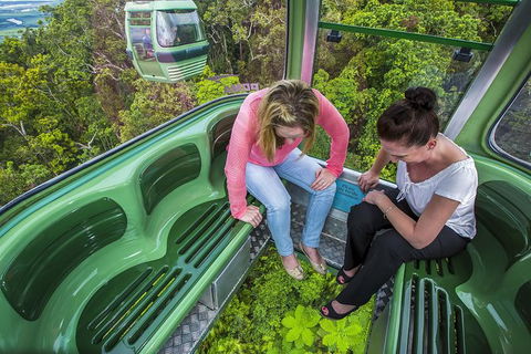 6-Day Best Of Cairns Including The Great Barrier Reef, Kuranda And The Daintree Rainforest - Accommodation Port Hedland 1