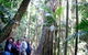 Gold Coast 4WD Eco Outback Tracks Tour - thumb 2